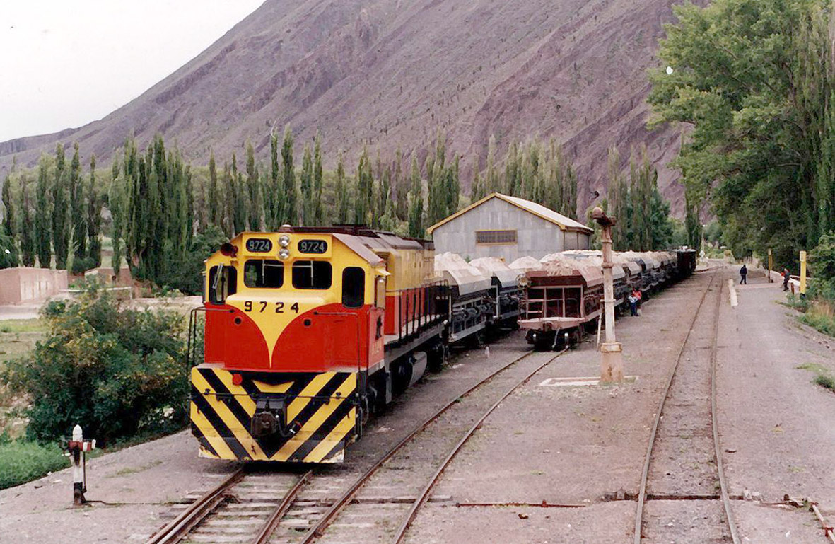 Ferrocarriles_Argentinos_-_Carguero_en_Ingeniero_Maury